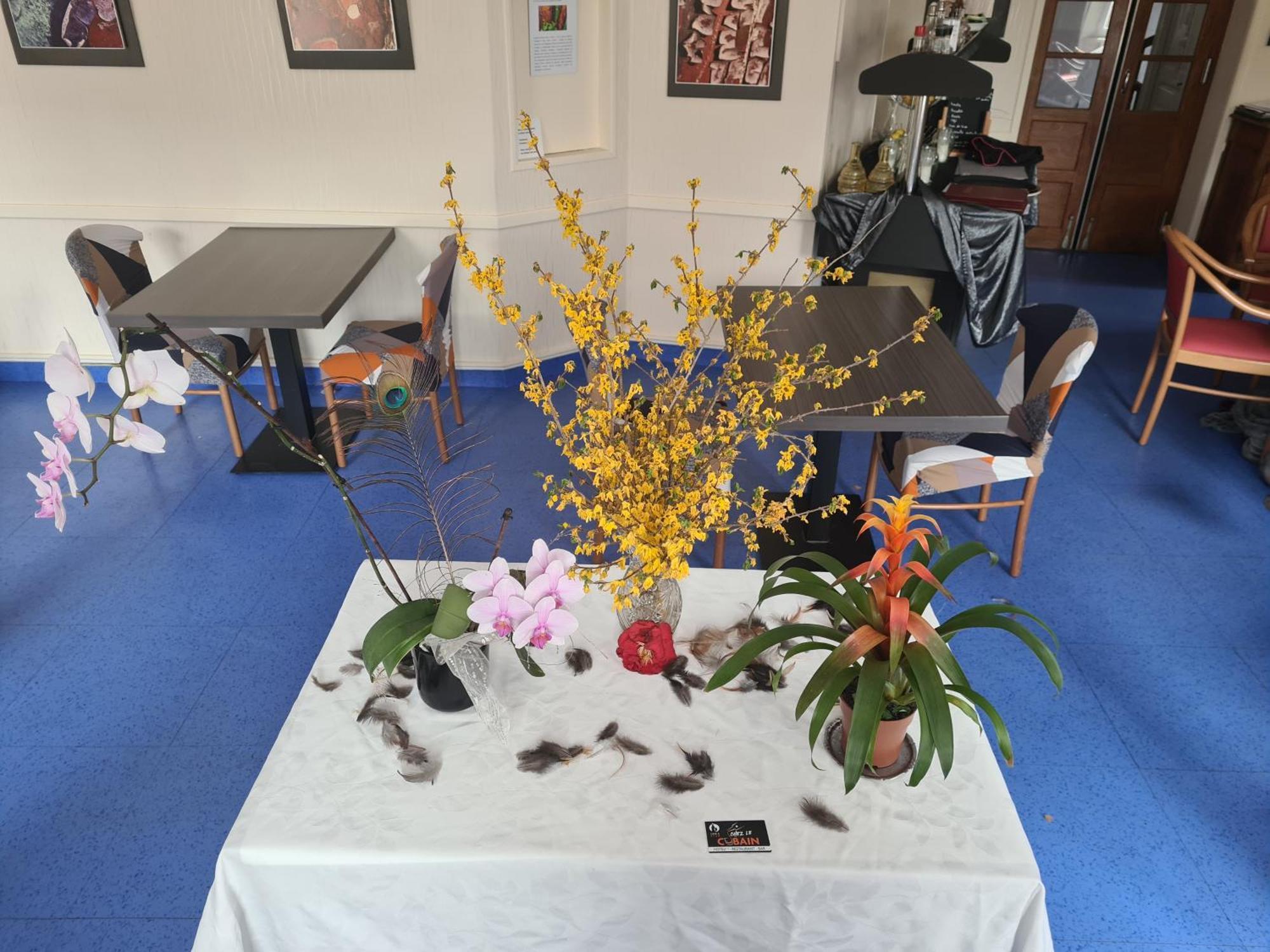 Hotel Saint Julien Aux Bois 外观 照片